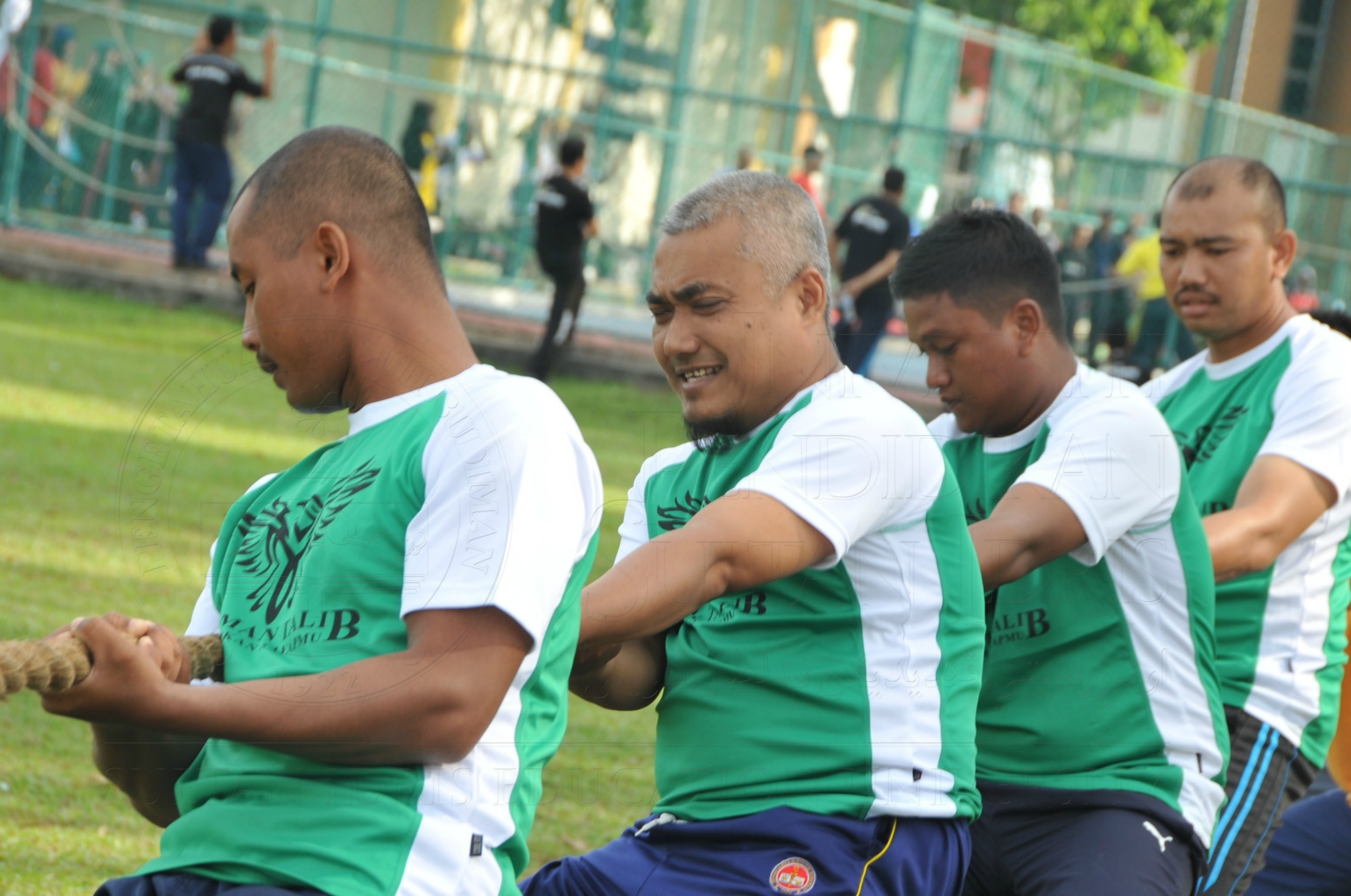 PRO 15 53 KIESTA HAS 5568